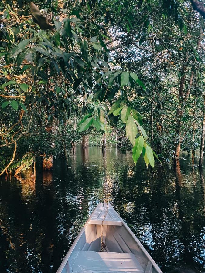 Amazon Arowana Lodge Careiro Ngoại thất bức ảnh