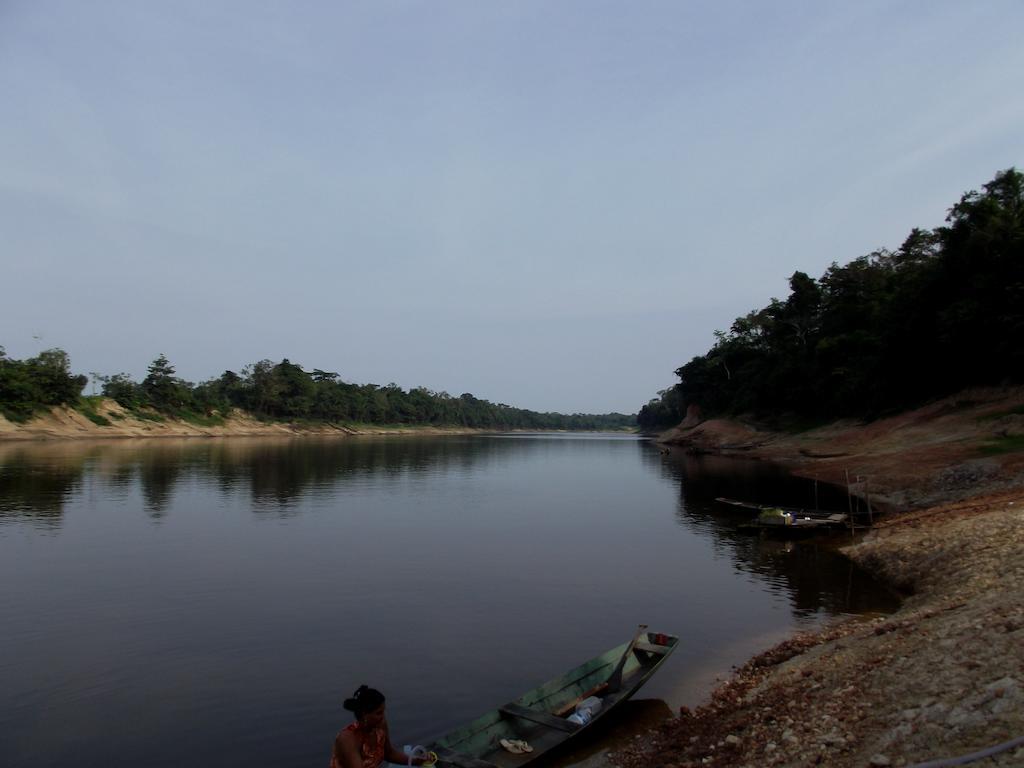 Amazon Arowana Lodge Careiro Ngoại thất bức ảnh